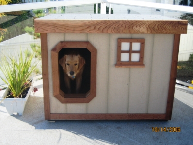 dog house plans